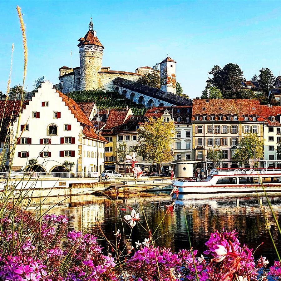 Apartment Suedwind - Beautiful Premium Apartment With 2 Bedrooms Near Rhine Falls & Zurich Airport In Klettgau Weisweil  Exterior photo